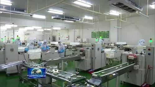 河南多措并舉促返崗助企業(yè)復工復產(chǎn) 保就業(yè)大局穩(wěn)定與飼料生產(chǎn)保障