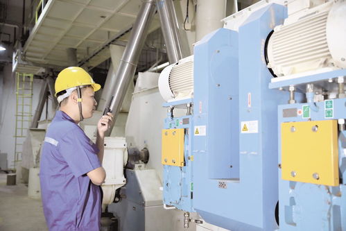 天門飼料企業(yè) 辟蹊徑，克時(shí)艱，穩(wěn)中求進(jìn)促增長