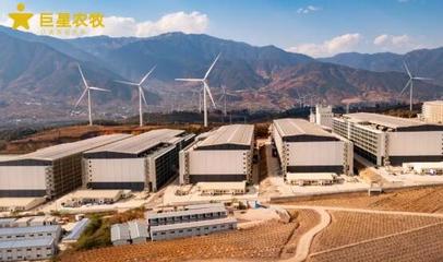 智匯農牧，悅見未來 巨星農牧德昌生豬繁育一體化項目開放日盛大啟幕